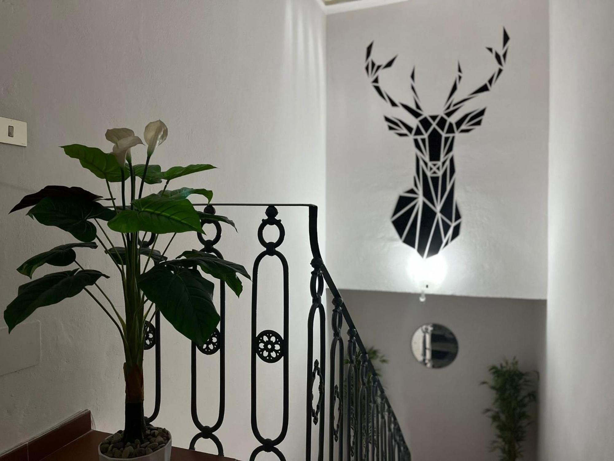 Apartment L'oasi Del Cervo
